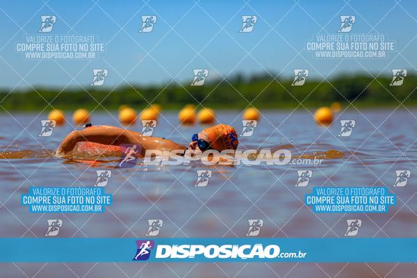 Foto 8221161