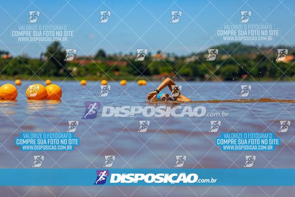 Foto 8223832