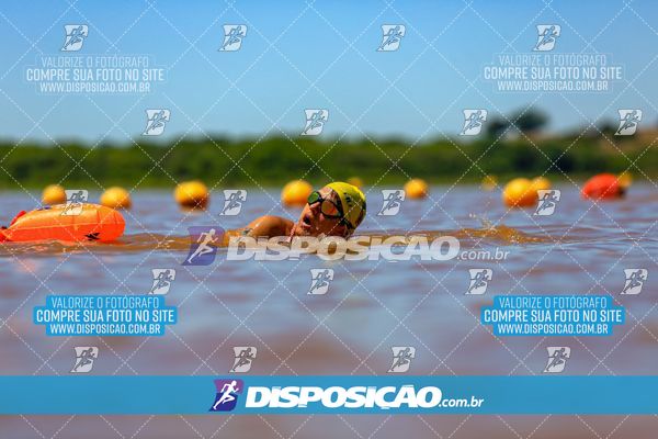 Foto 8223376