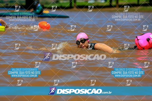 Foto 8221440