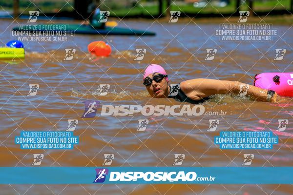 Foto 8223369
