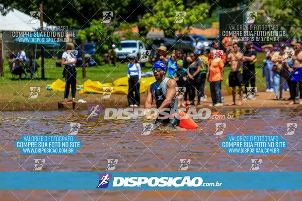 Foto 8221337