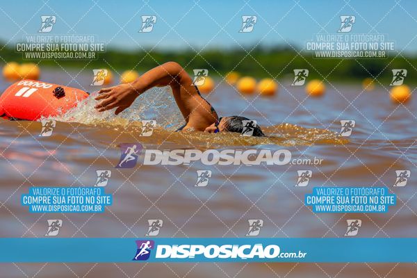 Foto 8223084