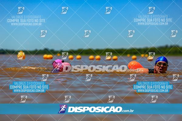 Foto 8221622