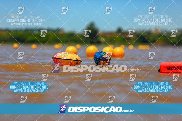Foto 8223130