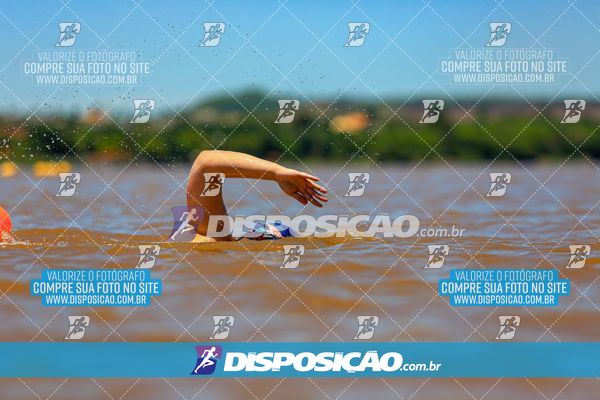 Foto 8223828