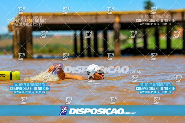 Foto 8223214