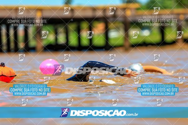 Foto 8223208