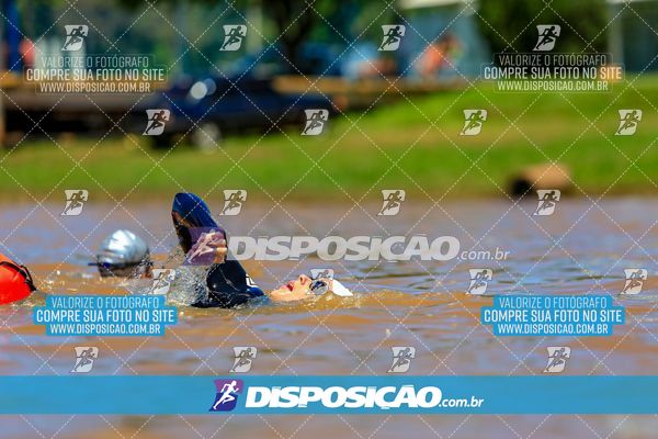 Foto 8222819