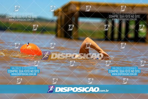 Foto 8223326