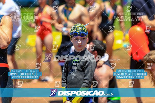 Foto 8223339