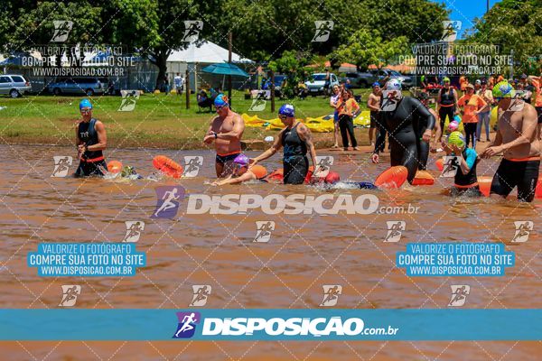 Foto 8223352