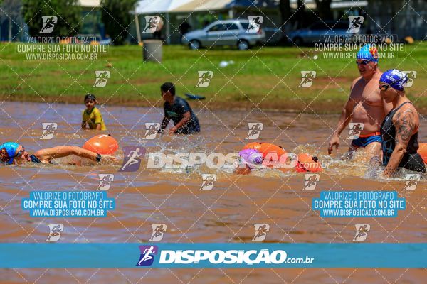 Foto 8221318