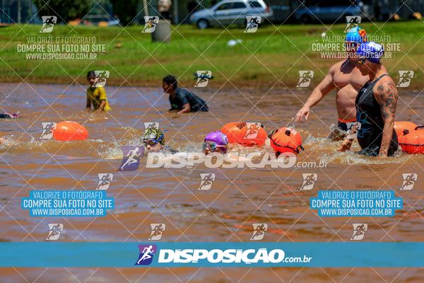 Foto 8221244