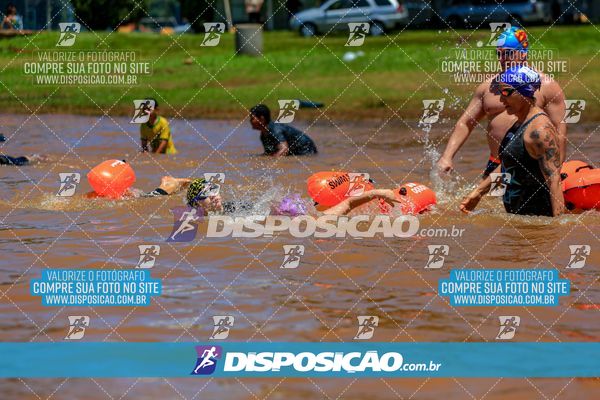 Foto 8223783