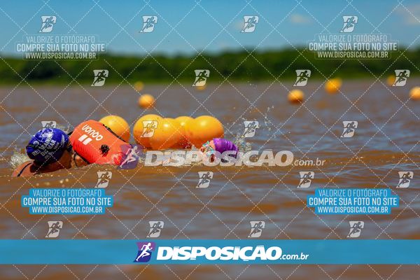 Foto 8222048