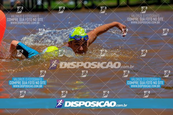 Foto 8222260