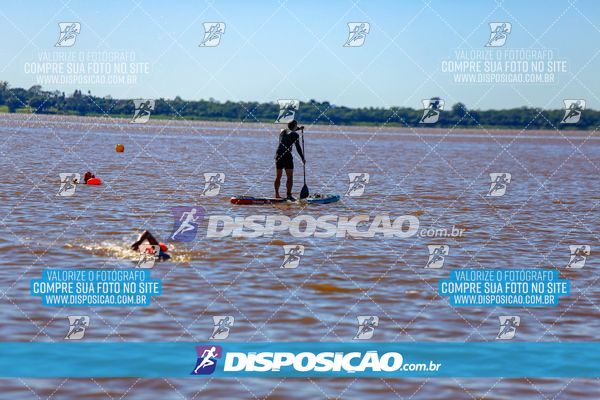 Foto 8223055