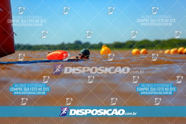 Foto 8224021