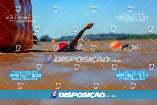 Foto 8223497