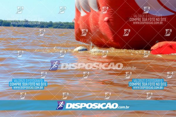 Foto 8221275