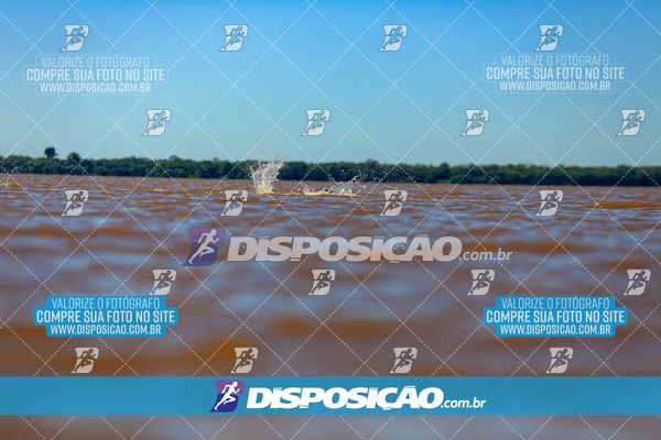 Foto 8223289