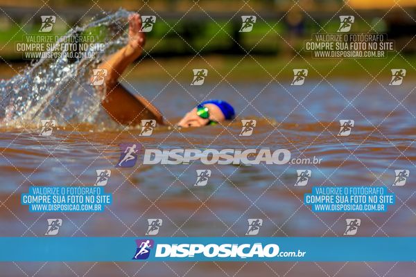 Foto 8223612