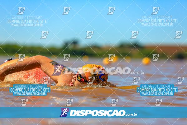Foto 8223252