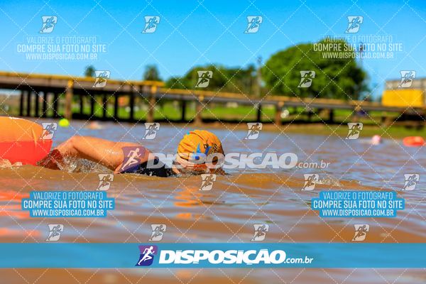 Foto 8222259