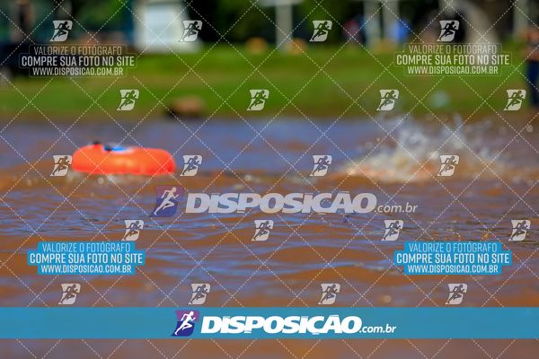 Foto 8223333
