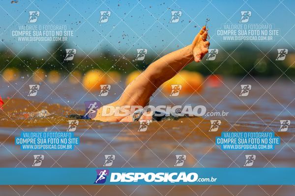 Foto 8221208