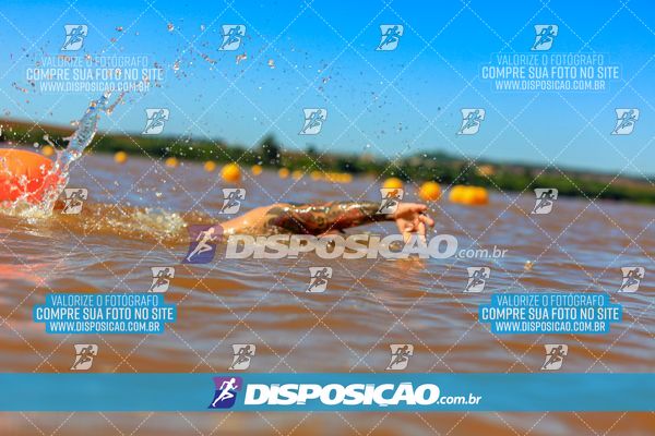 Foto 8222802