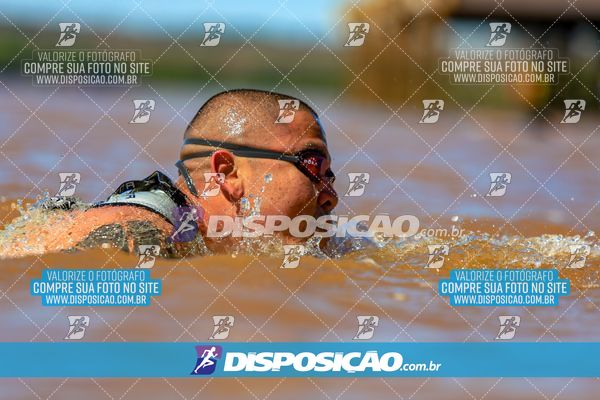 Foto 8223226
