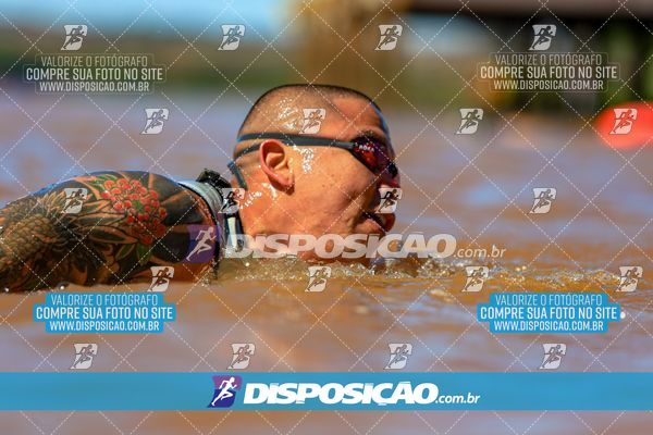 Foto 8223189