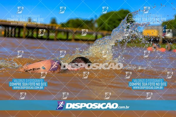 Foto 8222204