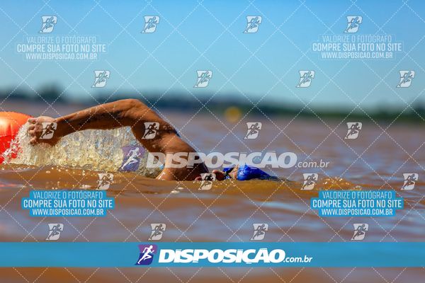 Foto 8221927