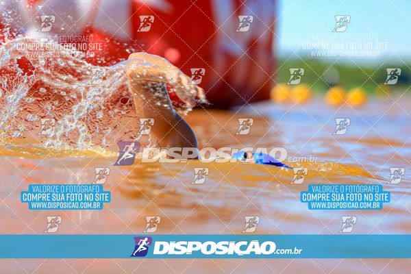 Foto 8222112