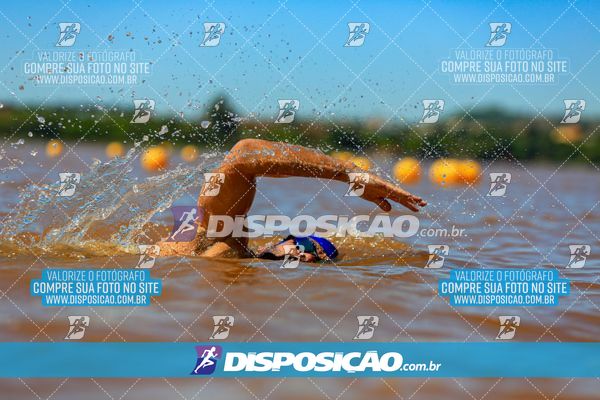 Foto 8221753