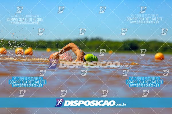Foto 8221388