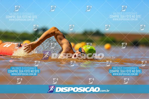 Foto 8223315