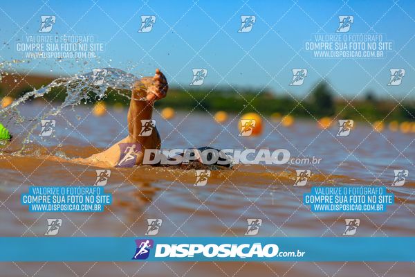 Foto 8223498