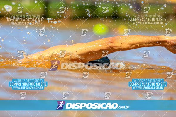 Foto 8223313