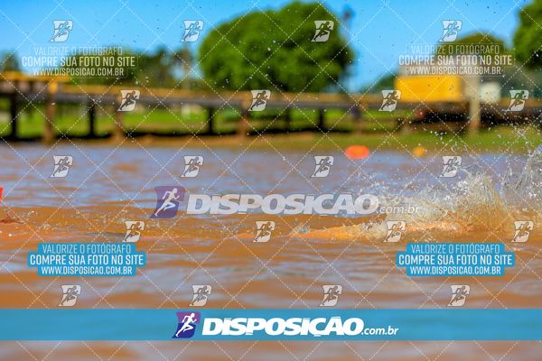 Foto 8222417