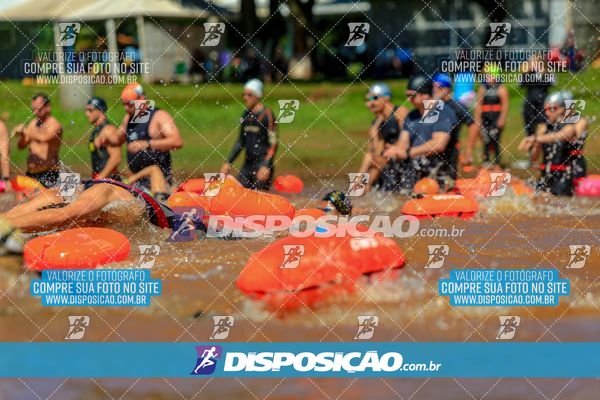 Foto 8223154