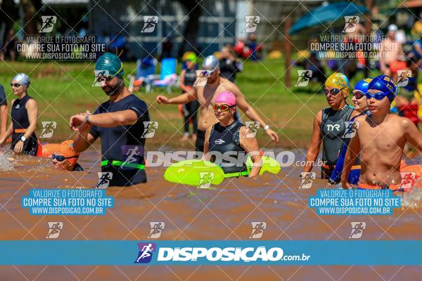 Foto 8222170