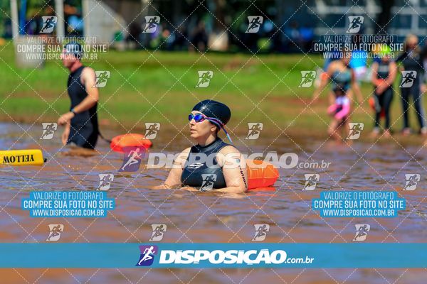Foto 8223541