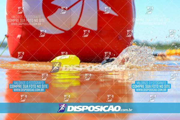 Foto 8223340