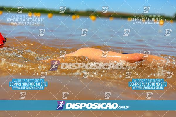 Foto 8221417