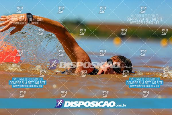 Foto 8221785