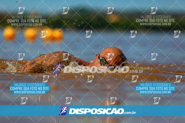 Foto 8222292